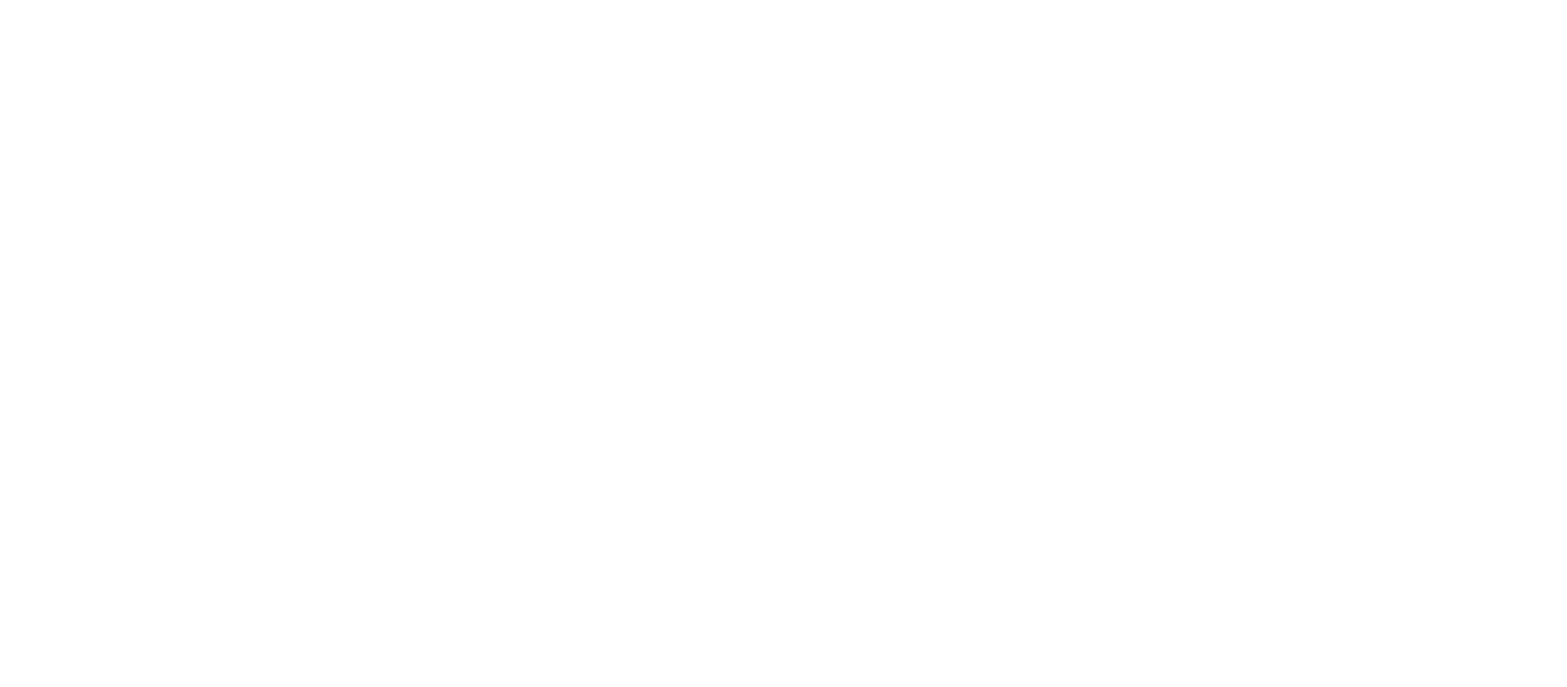 tally-evangelist-logo